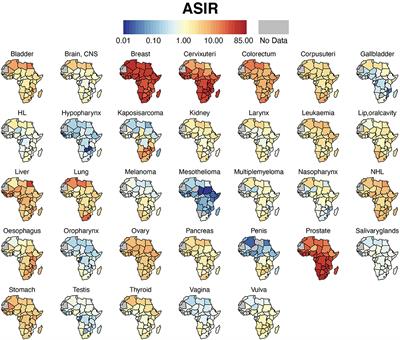 Mapping Cancer in Africa: A Comprehensive and Comparable Characterization of 34 Cancer Types Using Estimates From GLOBOCAN 2020